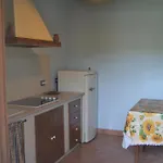 Il Casale Societa Agricola Semplice Di Barattini Pascucci Doriana E C *