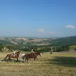 Il Casale Societa Agricola Semplice Di Barattini Pascucci Doriana E C Feriegård Pergola