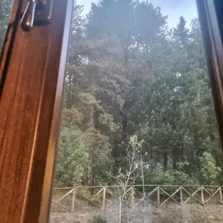 Il Casale Società Agricola Semplice Di Barattini Pascucci Doriana E C *