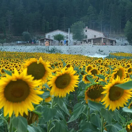 Alloggio per agriturismo Il Casale Società Agricola Semplice Di Barattini Pascucci Doriana E C *