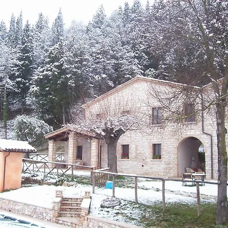 Il Casale Societa Agricola Semplice Di Barattini Pascucci Doriana E C Pergola