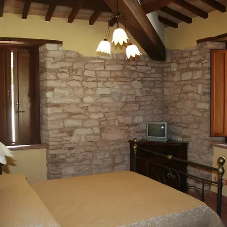 Il Casale Societa Agricola Semplice Di Barattini Pascucci Doriana E C Pergola
