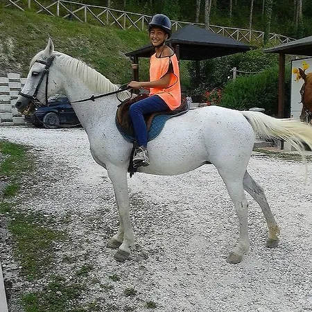 Il Casale Società Agricola Semplice Di Barattini Pascucci Doriana E C Pergola