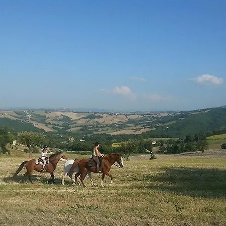 Il Casale Societa Agricola Semplice Di Barattini Pascucci Doriana E C Feriegård Pergola