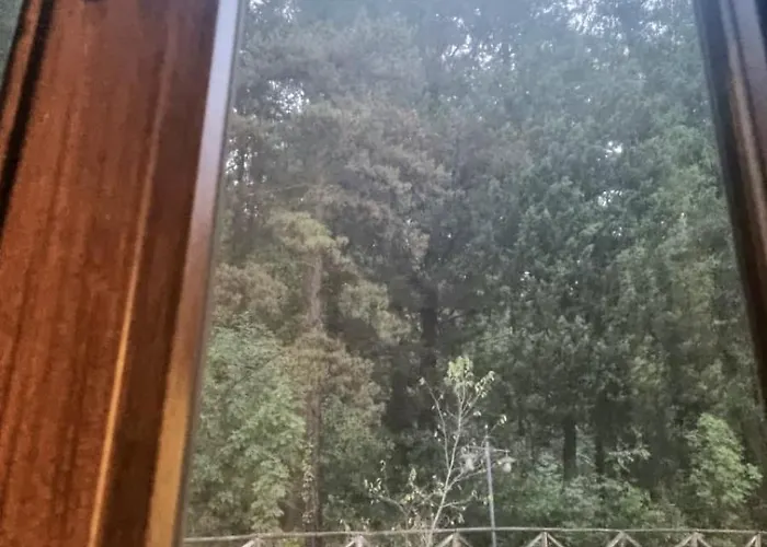 Il Casale Società Agricola Semplice Di Barattini Pascucci Doriana E C *